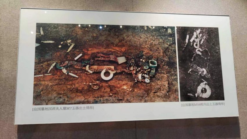 来自西周古应国墓地精美的玉器-平顶山市博物馆珍宝系列之十三|文物|应国印象|平顶山博物馆|河南省|雕鹰_新浪新闻