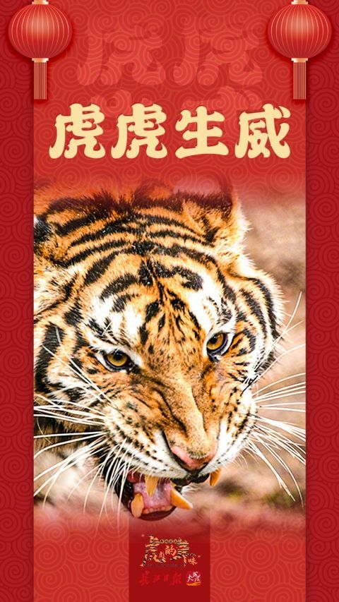 大年初一，武汉的“虎宝贝”给您拜年啦！