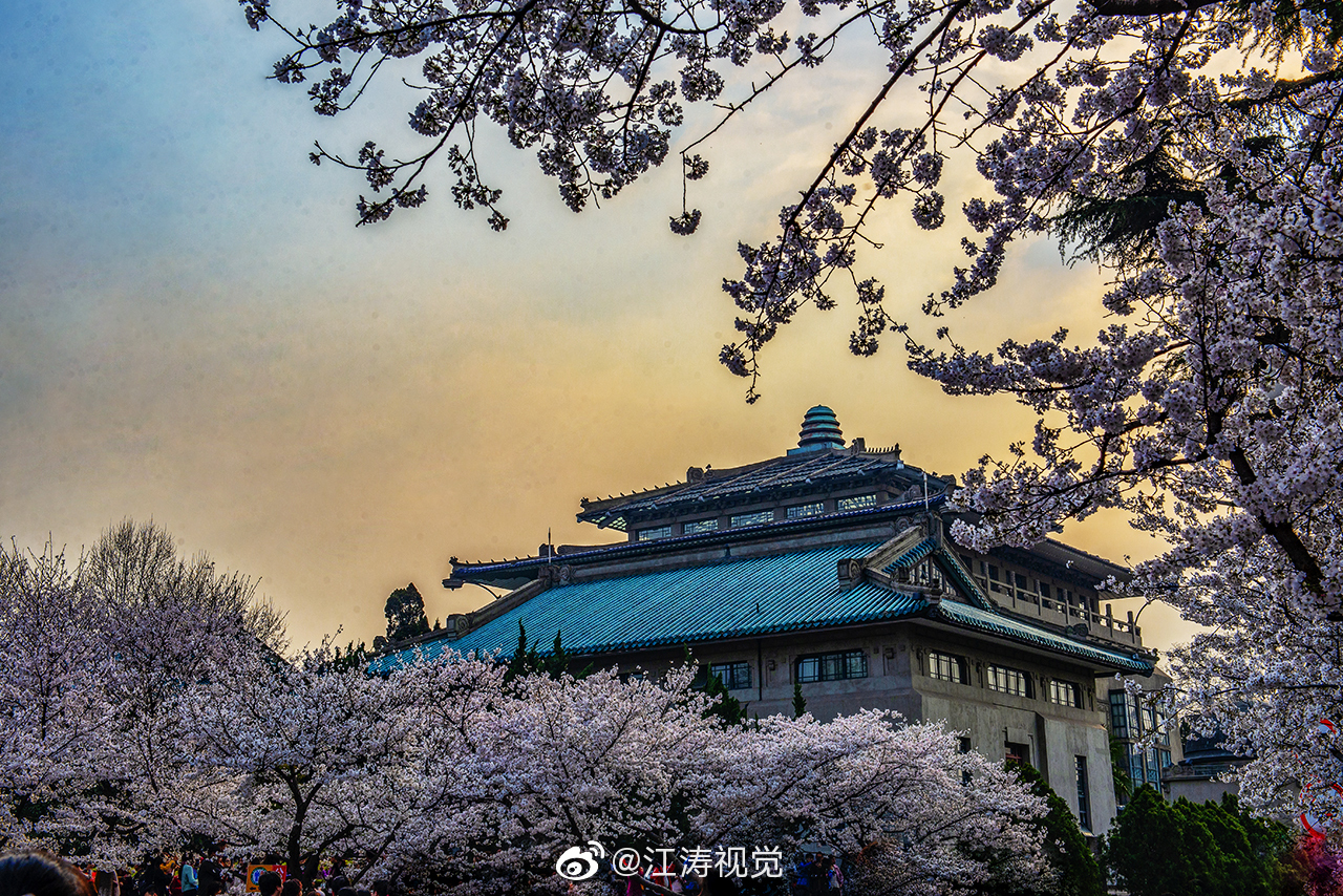 武汉大学环绕东湖水,坐拥珞珈山,校园环境优美,风景如画