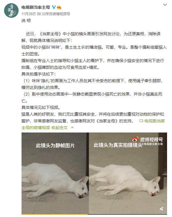 疑似《当家主母》群演称猫被电死 剧组回应：已报案休闲区蓝鸢梦想 - Www.slyday.coM