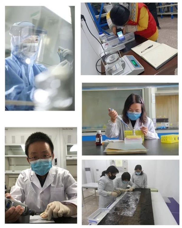 2021年度全国十大考古新发现揭晓，湖北云梦郑家湖墓地成功入选休闲区蓝鸢梦想 - Www.slyday.coM