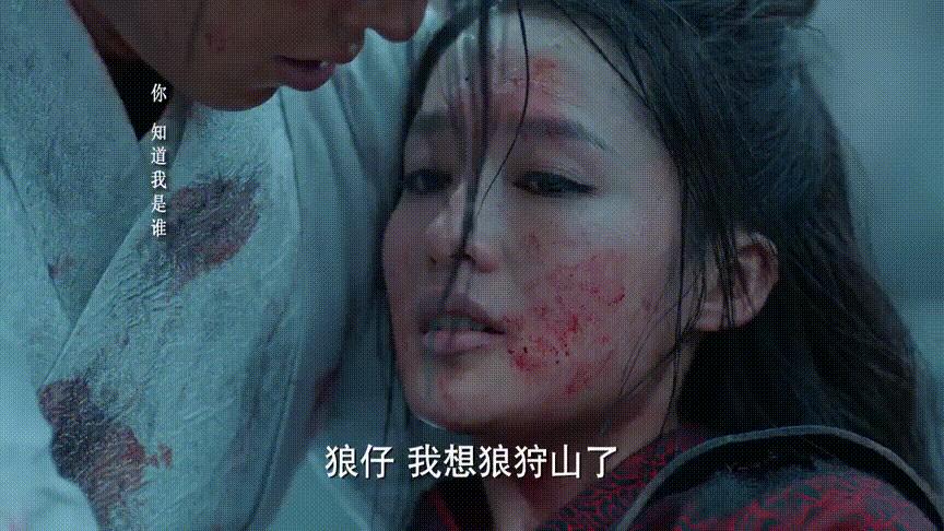 狼殿下》不仅呈现了渤王的成长曲线,海蝶,文衍,莫霄等楚魁训练的夜煞