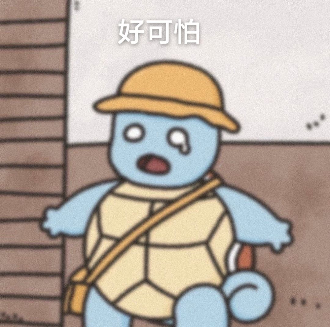 杰尼龟表情包太可爱了
