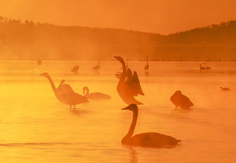 【看世界】欧洲多国爆发反疫情限制抗议休闲区蓝鸢梦想 - Www.slyday.coM