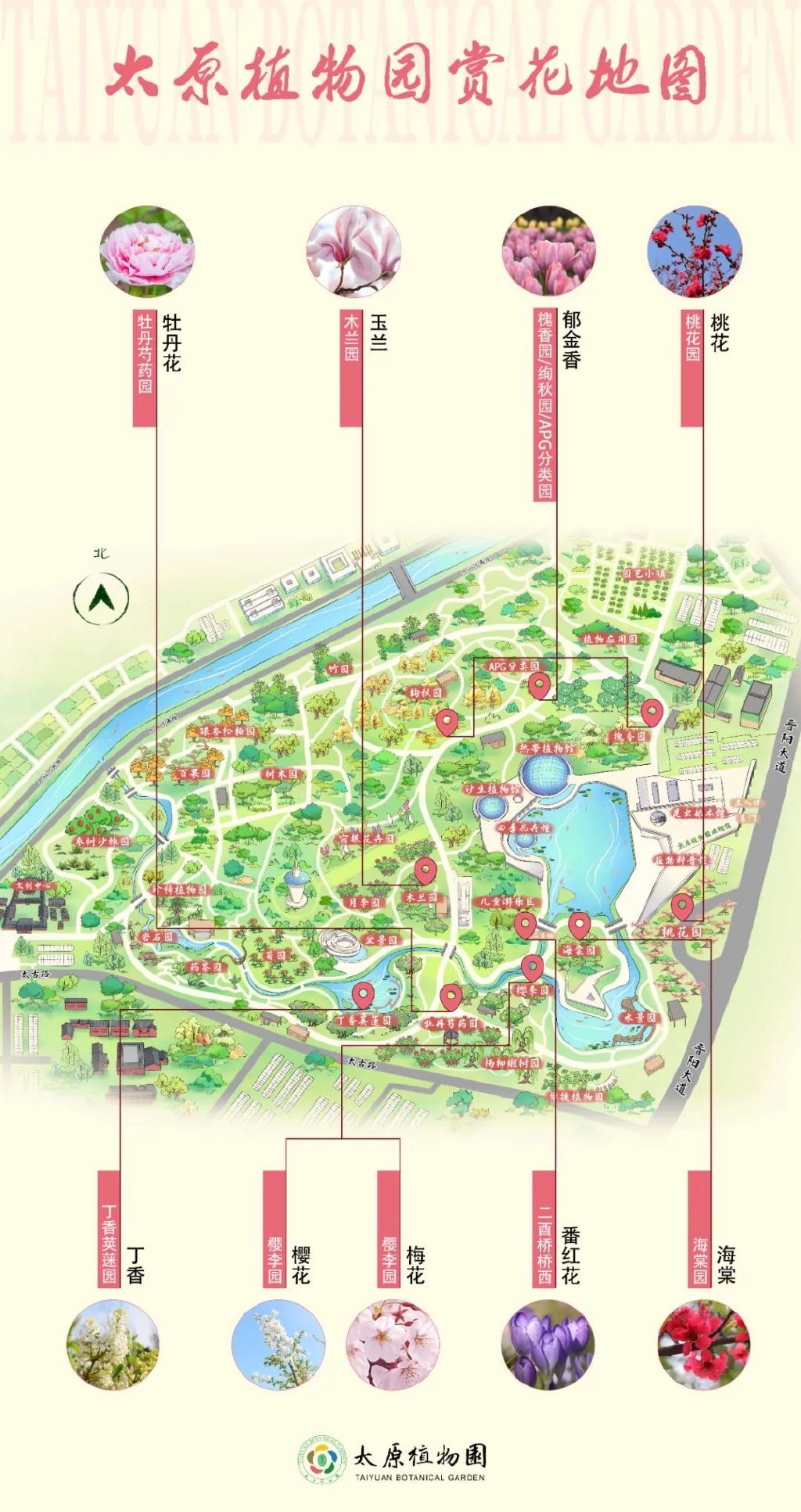 太原植物园2022春季赏花攻略