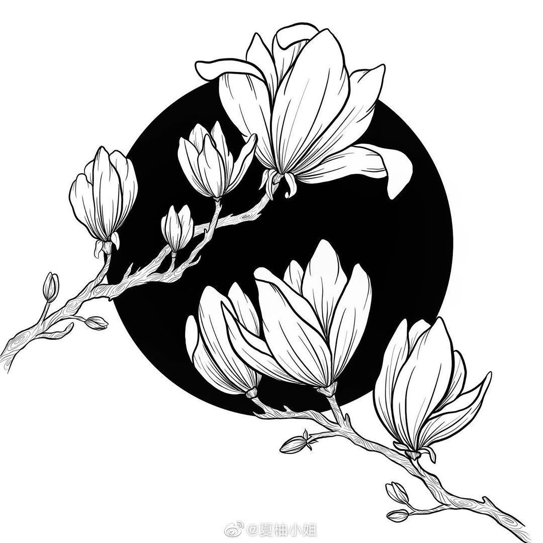 一支笔也能画简单漂亮的黑白植物插画