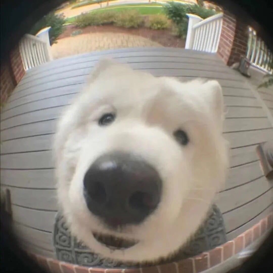 狗勾大头贴贴7723086112610823__财经头条