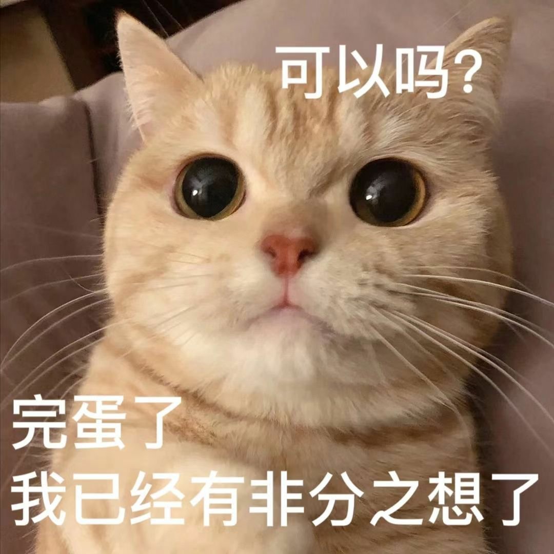 给对象发的表情包