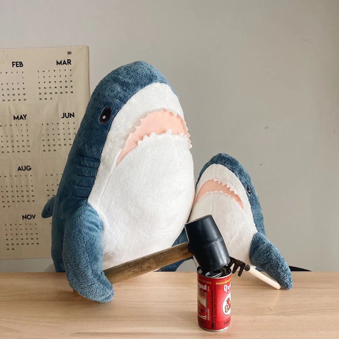 宜家小鲨鱼再次爆红单亲鲨鱼妈妈的日常太有爱了