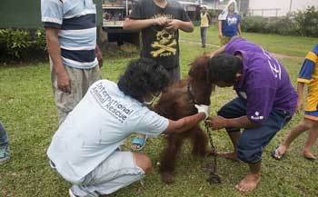 女子回家探亲途中看见了一棵会动的树，走进察看后掏出手机报警！休闲区蓝鸢梦想 - Www.slyday.coM