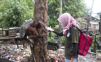 女子回家探亲途中看见了一棵会动的树，走进察看后掏出手机报警！休闲区蓝鸢梦想 - Www.slyday.coM