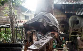 女子回家探亲途中看见了一棵会动的树，走进察看后掏出手机报警！休闲区蓝鸢梦想 - Www.slyday.coM