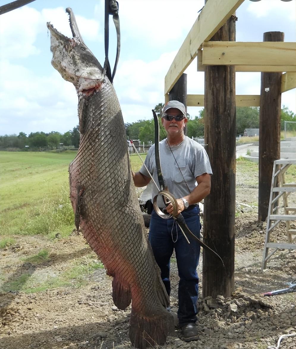 河南汝州巨型怪鱼系高危外来生物，为了它抽干整片湖，值得吗？休闲区蓝鸢梦想 - Www.slyday.coM