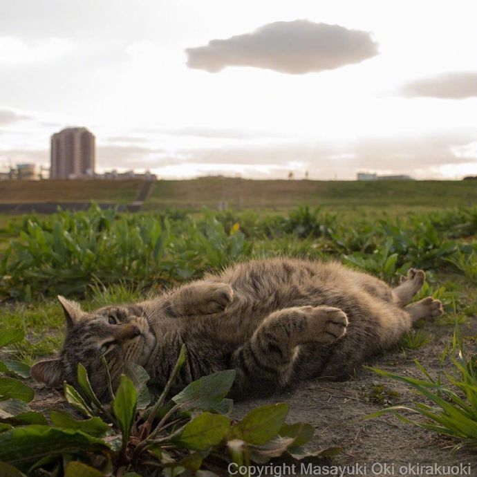 又是躺尸的一天_高清图集_新浪网