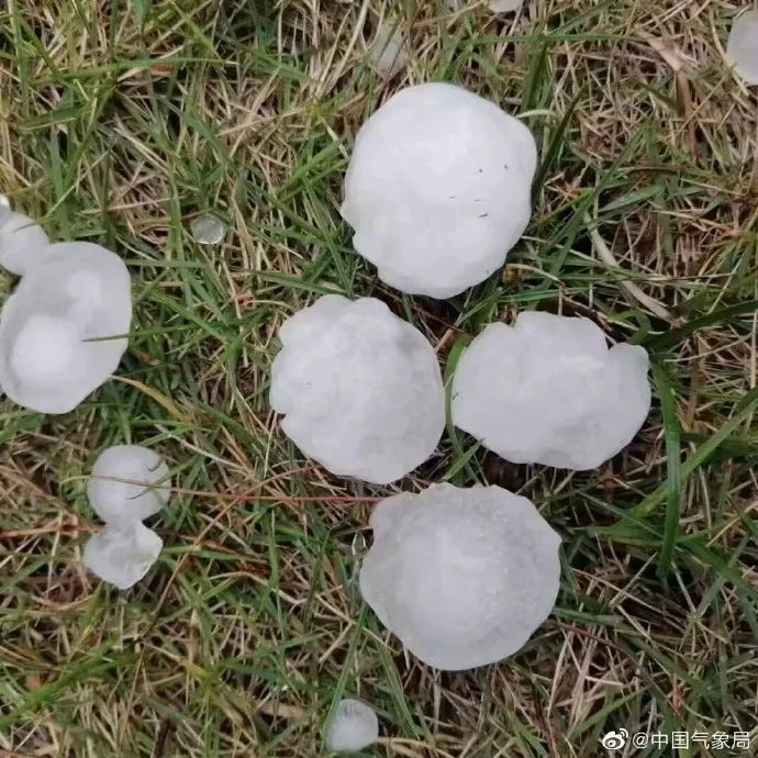 “世界难题”暴雨预报如何破?院士专家来支招!