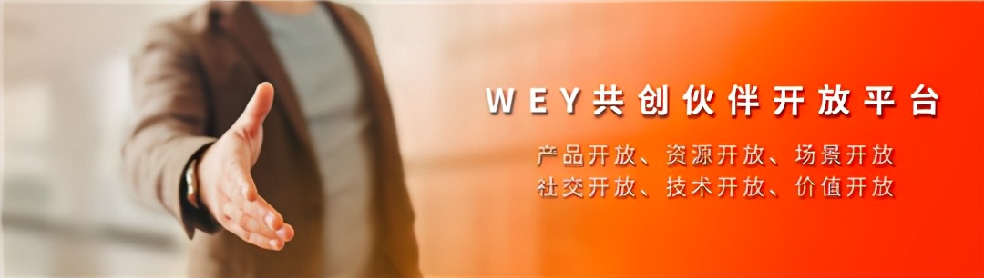 以互联网思维与用户共创wey的焕新之道