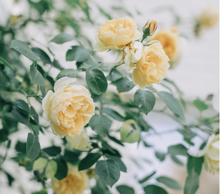 “当结了场健康的婚才知道的事”:太多人,误解了真正健康的婚姻休闲区蓝鸢梦想 - Www.slyday.coM “当结了场健康的婚才知道的事”:太多人,误解了真正健康的婚姻休闲区蓝鸢梦想 - Www.slyday.coM