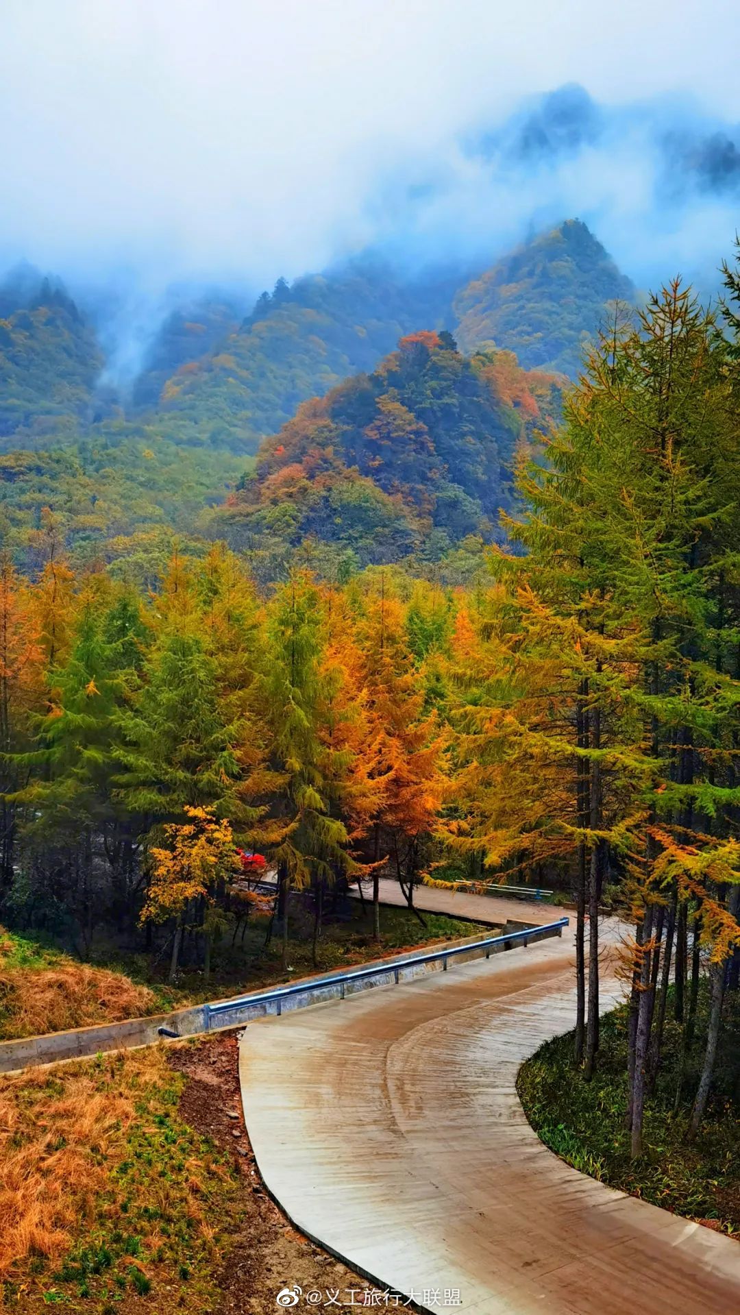 秋天的秦岭,深处满山红遍,绚丽多彩,惊艳着整个秋天!__财经头条