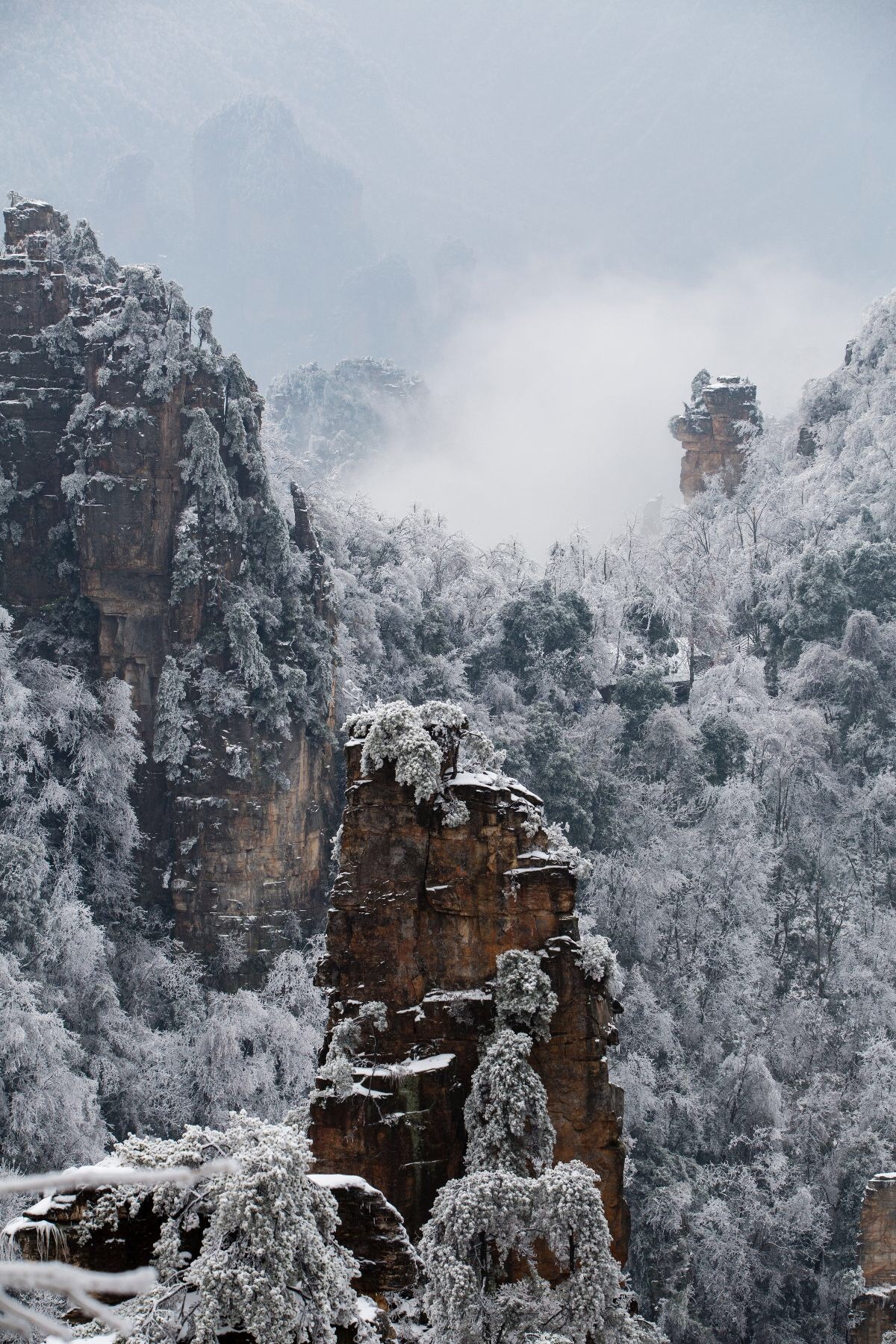 秀美张家界雾凇奇观