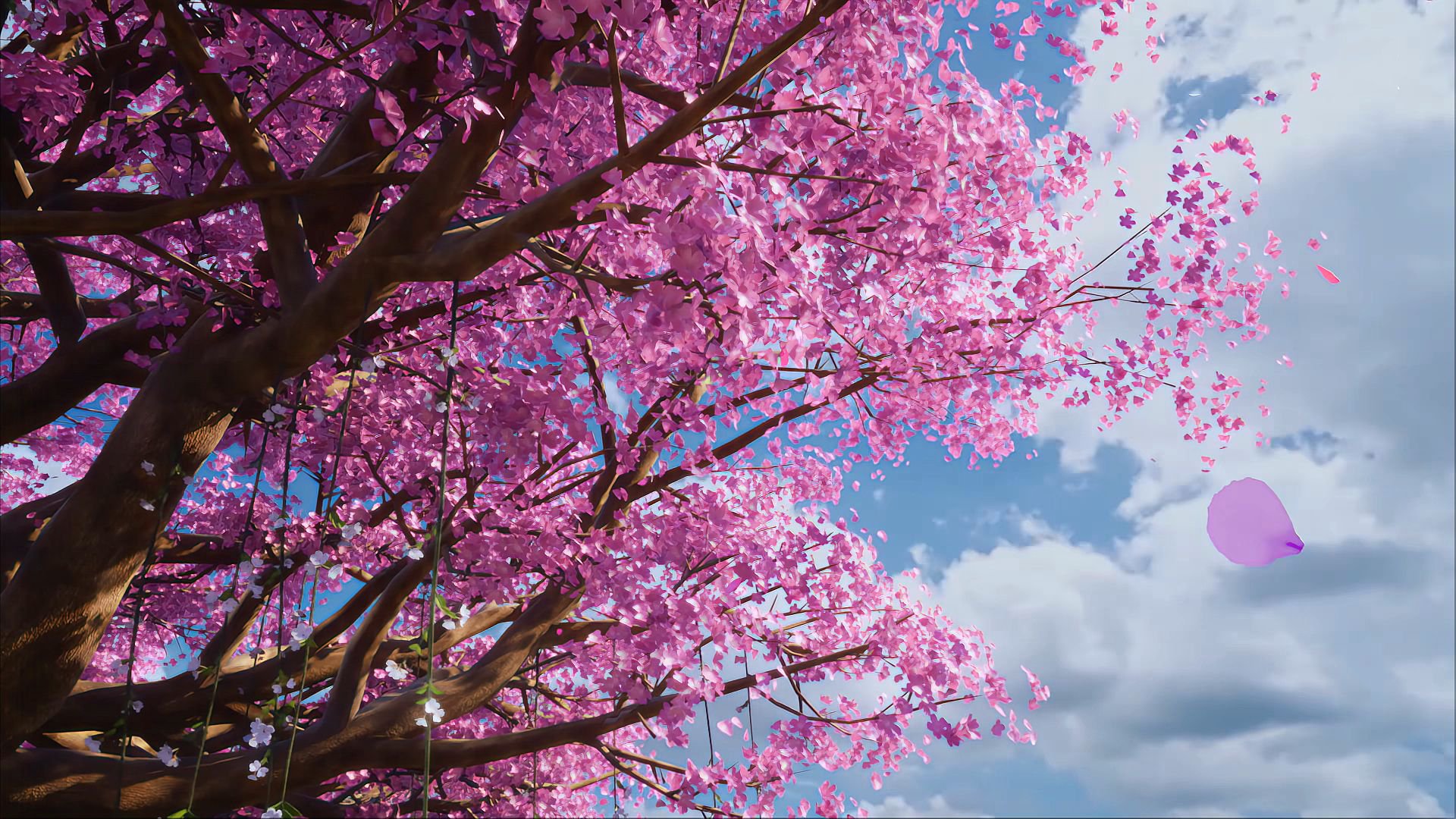 截了几张可以做桌面的美图|美图|桌面_新浪新闻