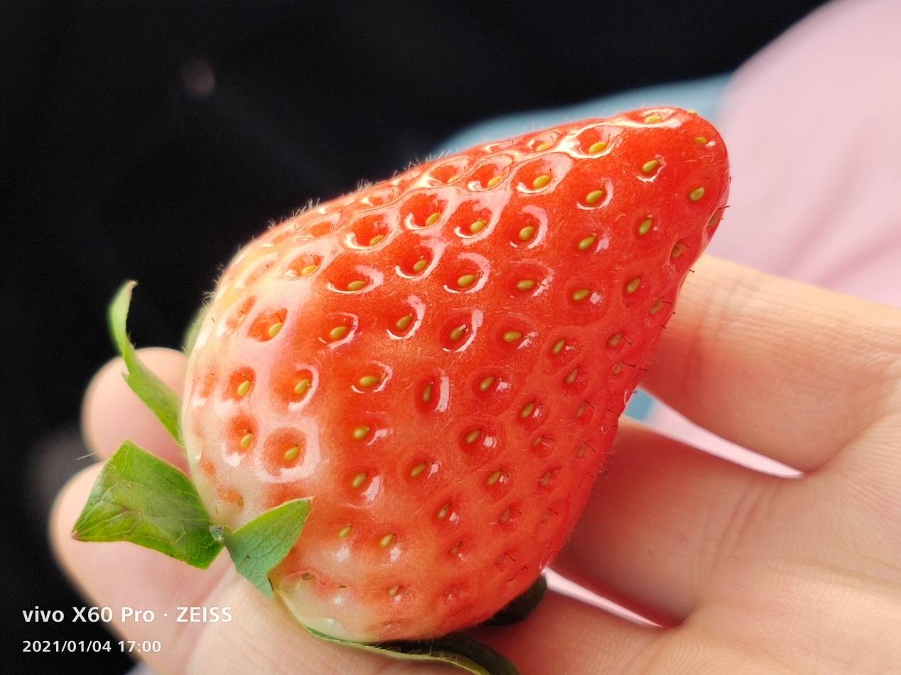 vivo X60 Pro体验:15G新内存让蔡司和OriginOS再飞一次!