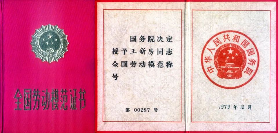 痛别!"现代超声心动图之父"王新房逝世,享年87岁