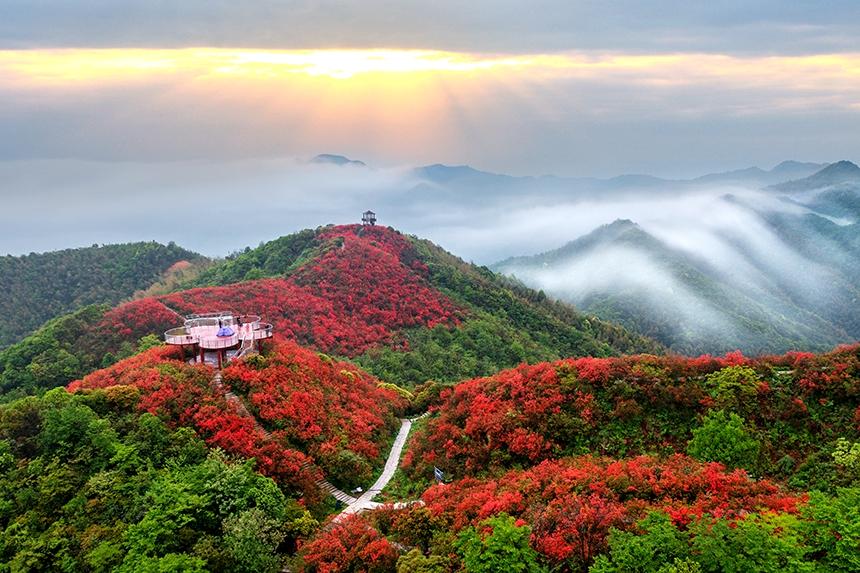 岳飞满山红古诗内容 SEO优化技巧 新手卖家谷歌排名提升