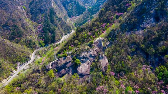 栾川这个景区全新开园啦!|龙峪湾|春雪|紫荆花_新浪新闻