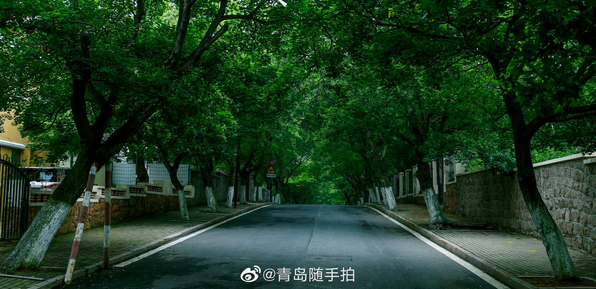 这个夏天,约上好友,带上闺蜜,走一走青岛的八大关_高清图集_新浪网