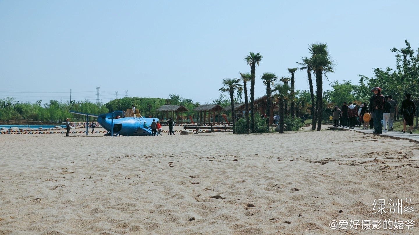 常州新龙生态林.