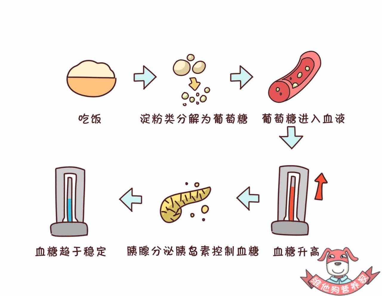 胰岛素|血糖_新浪新闻