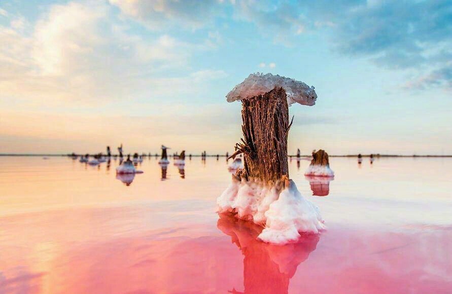 克里米亚的锡瓦什湖!