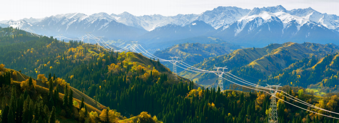 在你眼中国家电网是什么颜色