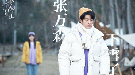 张万森，下雪了！我想和你看遍这世间最美的雪景|白雪|张万森|雪景_新浪新闻