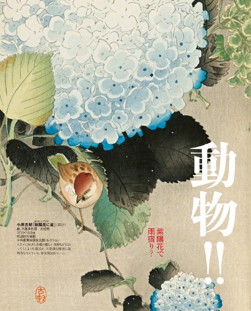 日本古典美学期刊《和乐(わらく)》的艺术封面设计