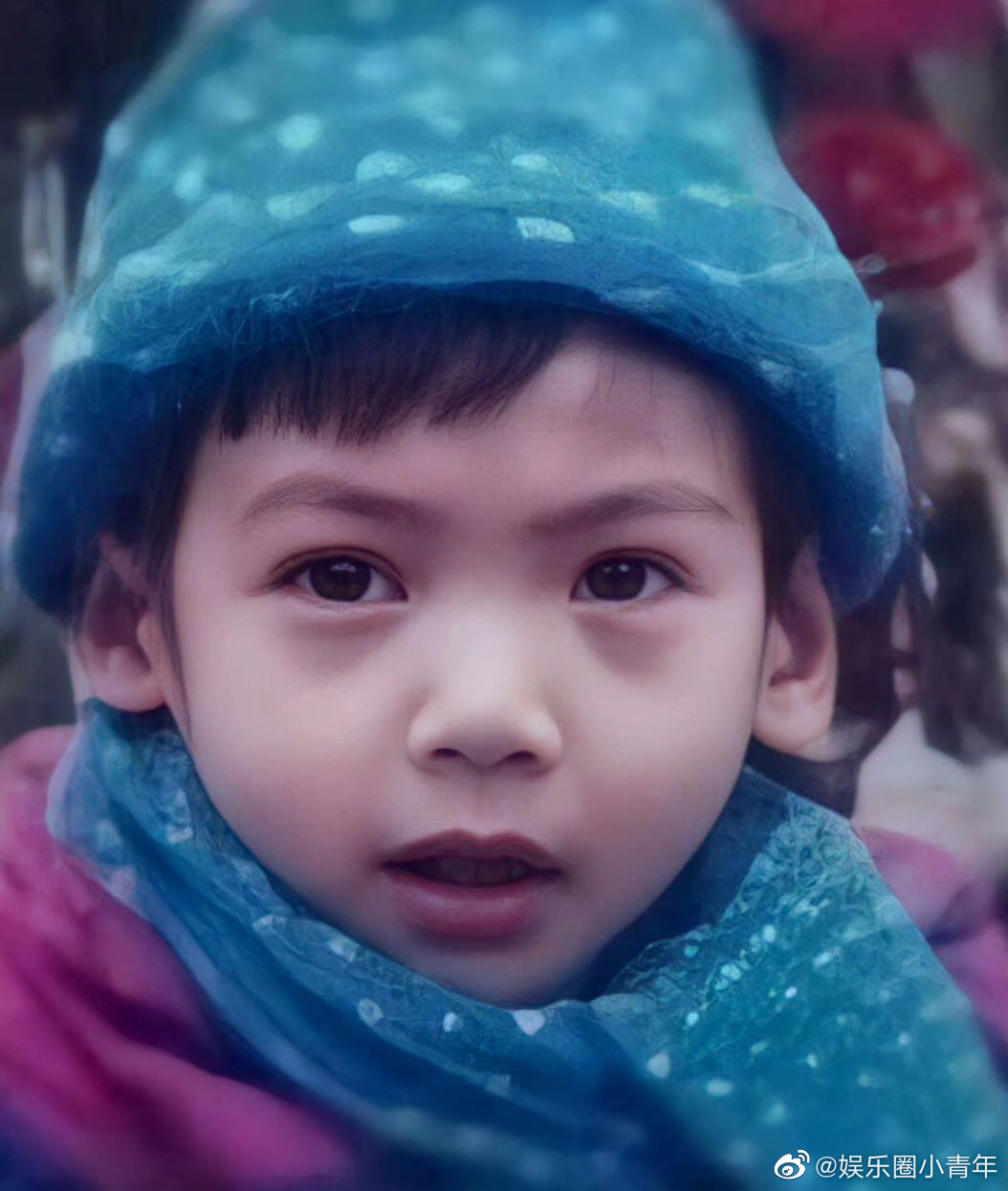 罗云熙的童年照,好可爱!_高清图集_新浪网