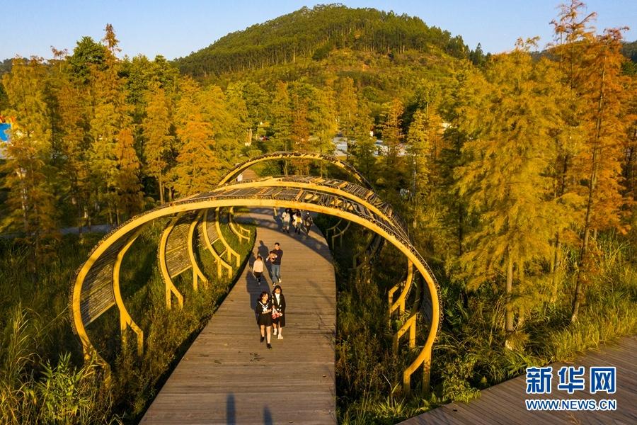 广西梧州苍海湿地公园冬日景如画