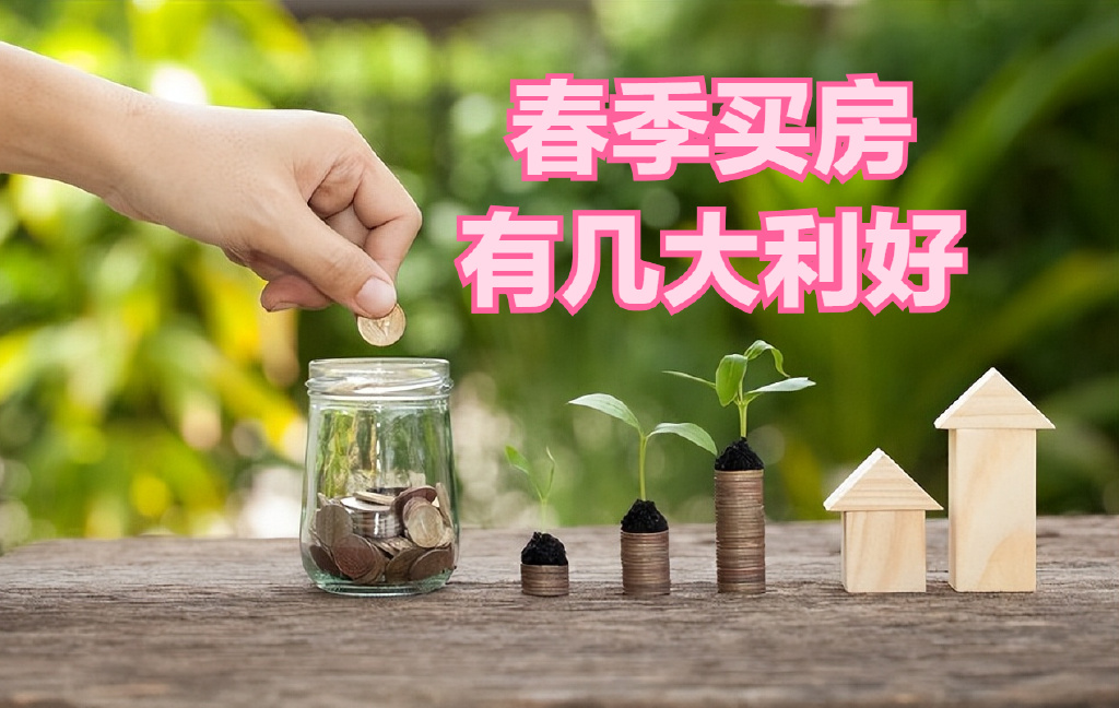 春节买房很明智,这些利好不容忽略,你都知道是什么吗?|买房|开发商|参谋_新浪新闻
