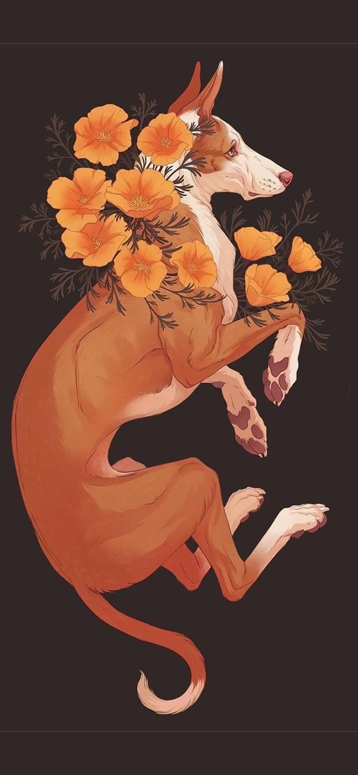 唯美动物萌宠插画手机壁纸! 动物也会气场的全开哦~!