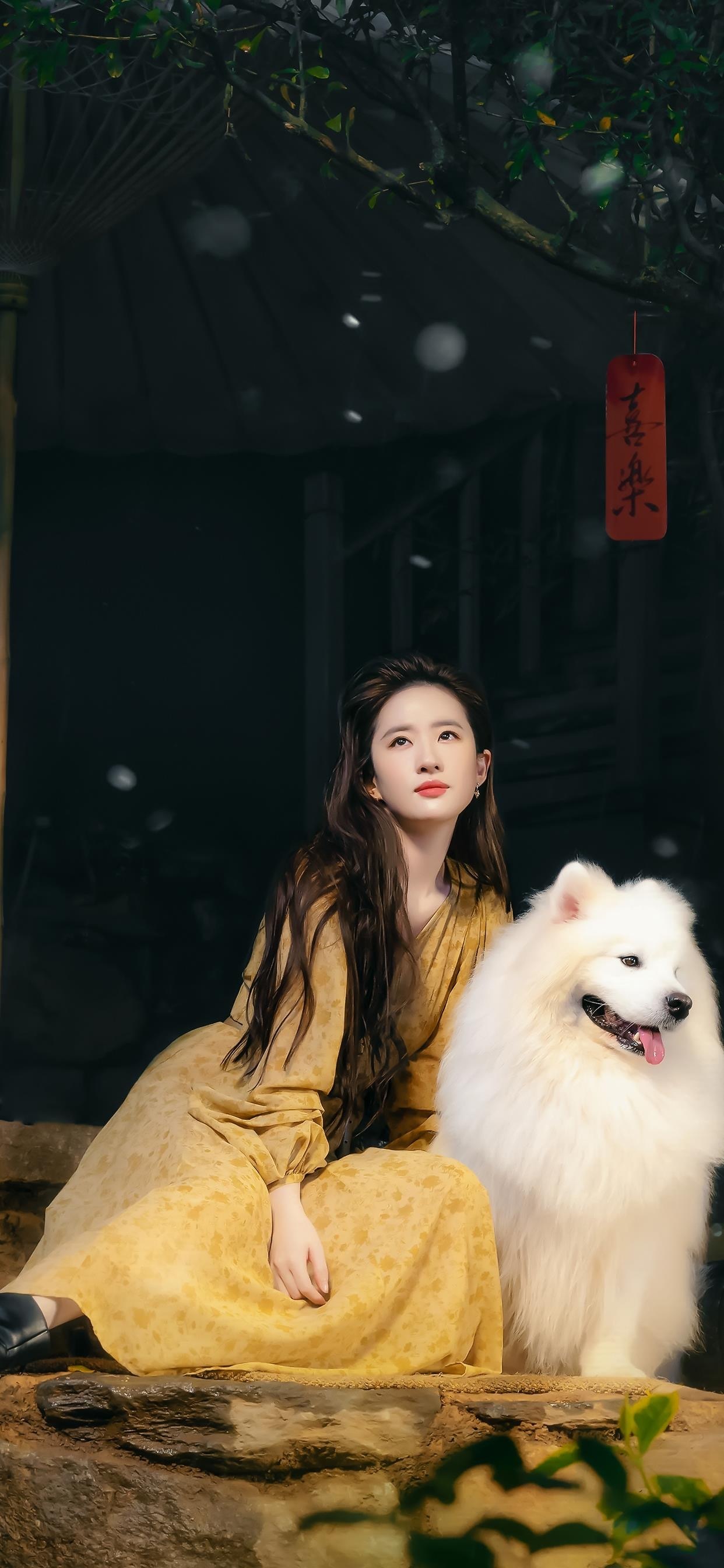 去有风的地方之刘亦菲壁纸 太爱啦__财经头条