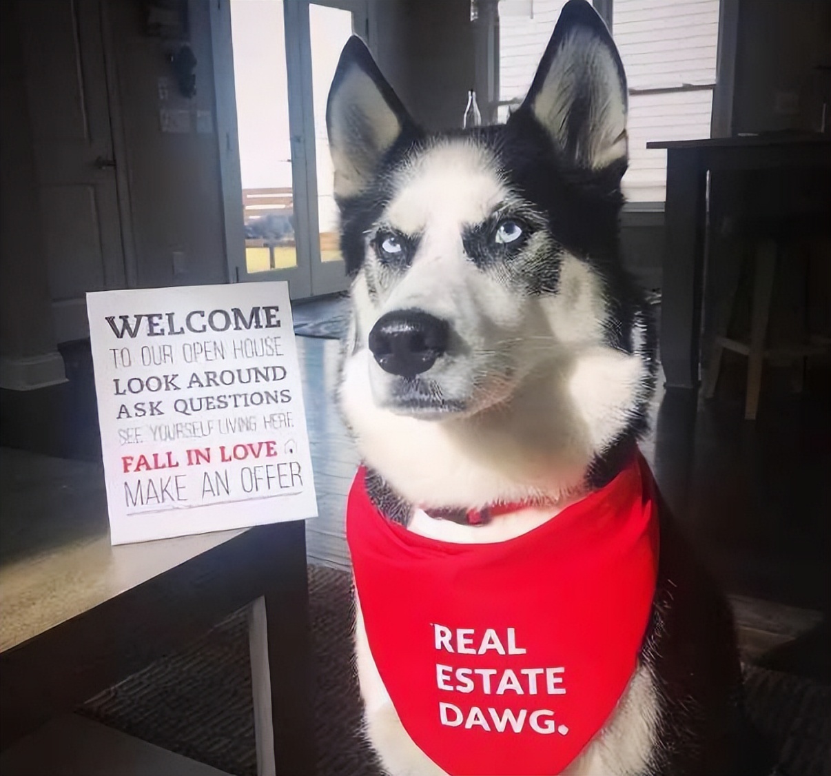 狗子犯了明显的过错，最简单有效的处置办法是什么？谁有好办法休闲区蓝鸢梦想 - Www.slyday.coM