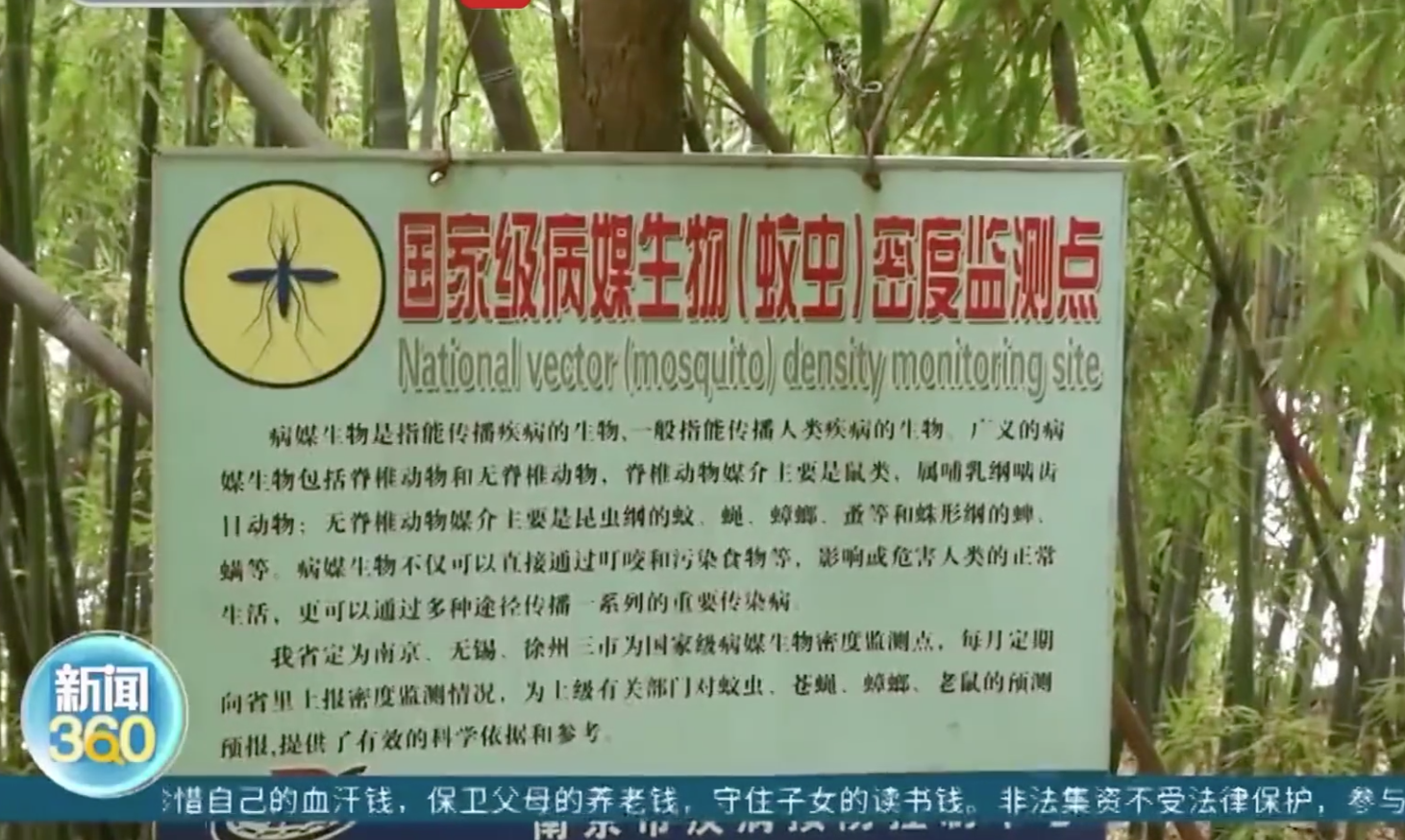 热搜！蚊子包越大毒性越大、蚊子爱叮O型血？专家：没有科学依据！蚊子其实爱叮这类人……休闲区蓝鸢梦想 - Www.slyday.coM