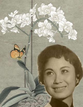 《天仙配》中七仙女仅三人在世,严凤英之子翻墙祭母,今现彩虹!