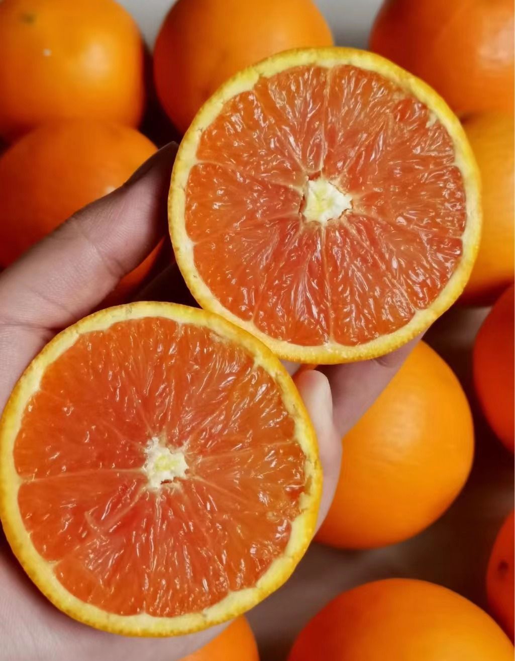 正宗四川资中血橙5斤13.9_高清图集_新浪网