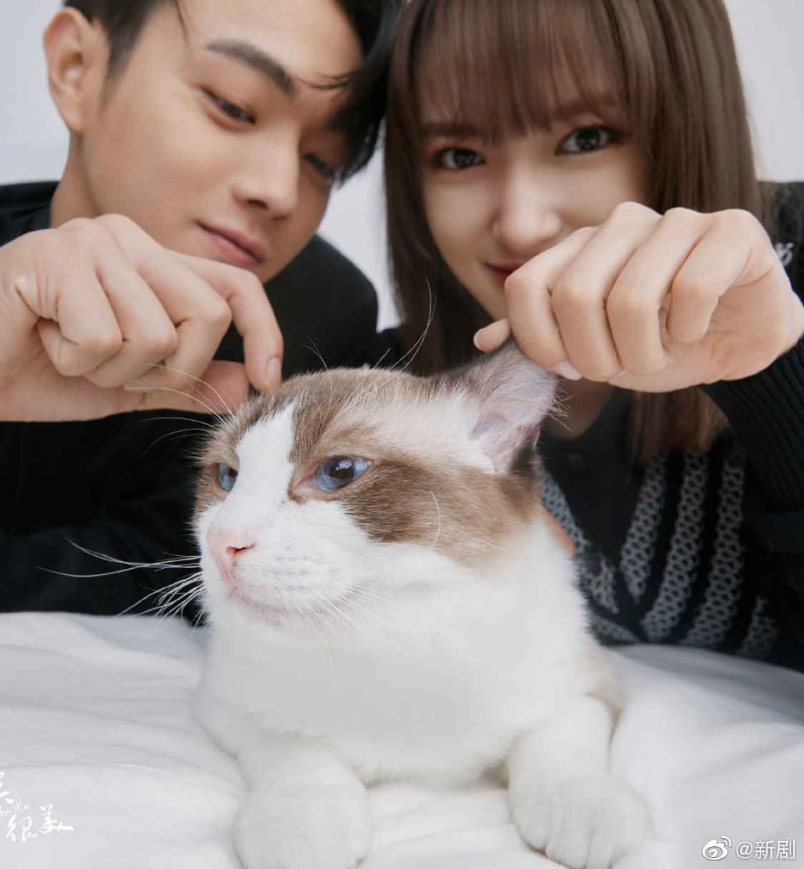 许凯程潇昨晚合体直播,虽然两个人憨憨的,但是不妨碍男帅女美