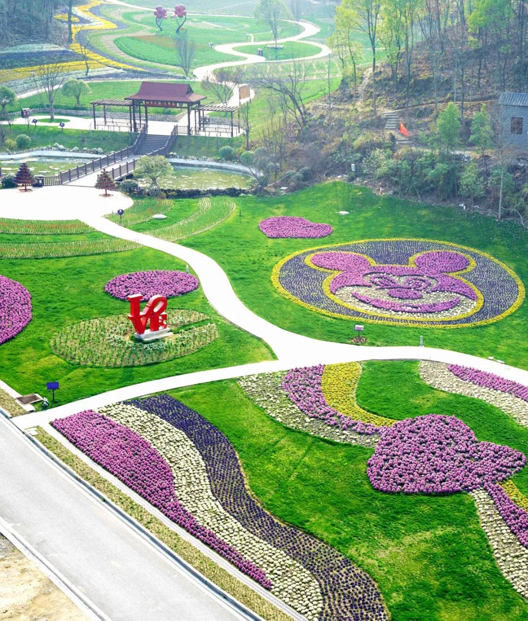 湖北首家景区企业复工 英山四季花海景区有序限流开放