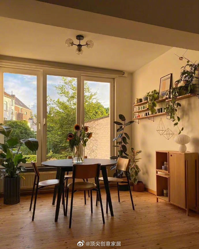 冬日家里的阳光一角__财经头条