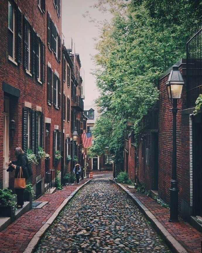 在波斯顿有个住宅街道出门就是花