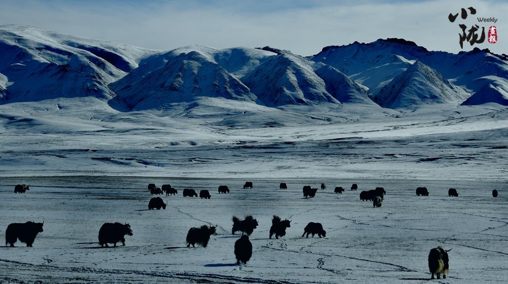 甘肃肃北县海拔有多高 甘肃肃北县气候特点有哪些特征