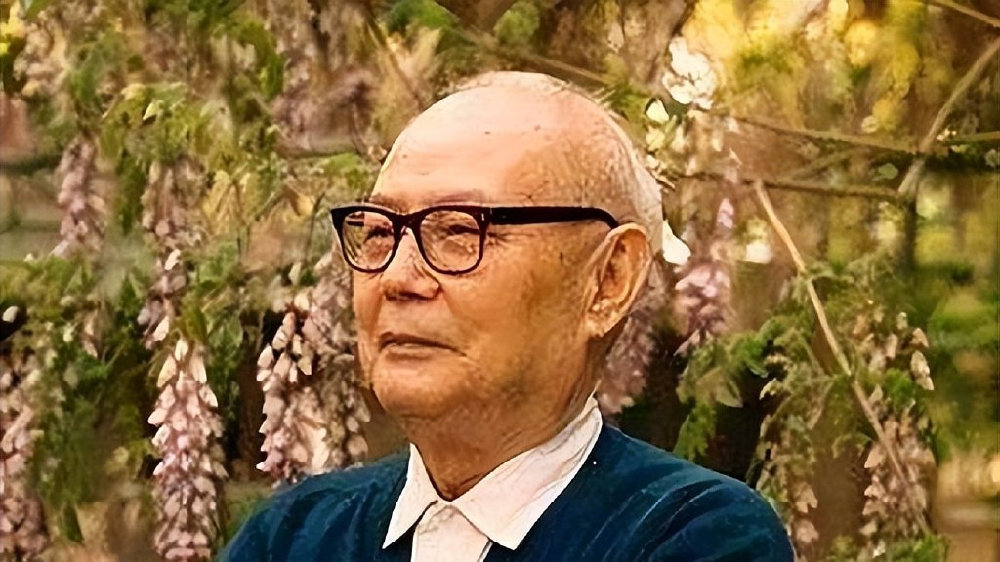 1981年,叶剑英到武汉视察,何长工说:你这两个月注意点|叶帅|何长工|叶剑英_新浪新闻